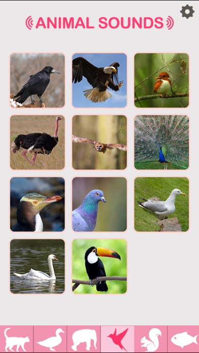 Animal Sounds - Baby & Toddler Game iPhone screenshot 4 - Education app