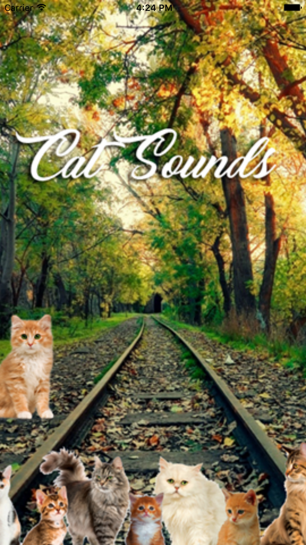 Cat Sounds and Music