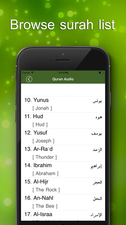Quran Audio - multi reciter and language