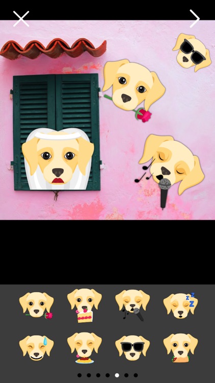 Cream Labrador Photo Booth