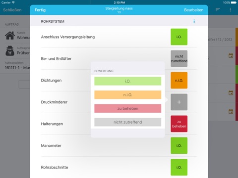 Steigleitungen - Prüfung u.a. nach DIN 14461 screenshot 3