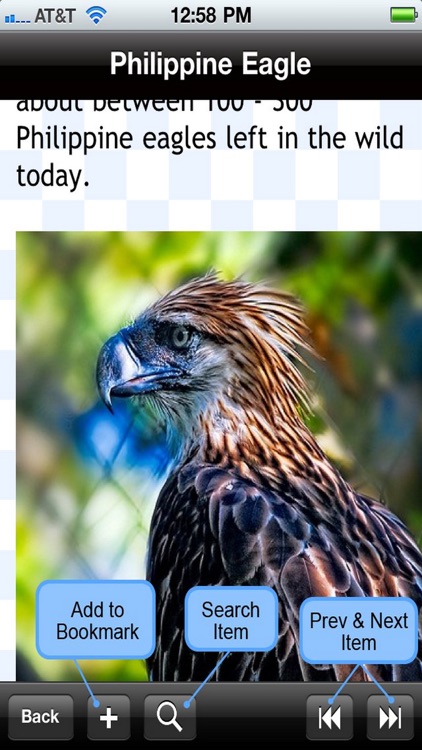 Birds Encyclopedia screenshot-4