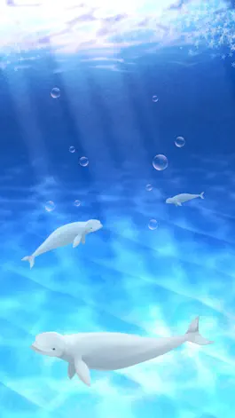 Game screenshot Virtual Pet Beluga Aquarium Simulation apk