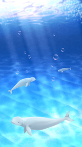 Virtual Pet Beluga Aquarium Simulation screenshot