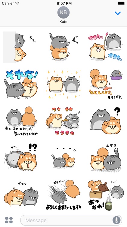 plump dog & plump cat stickers
