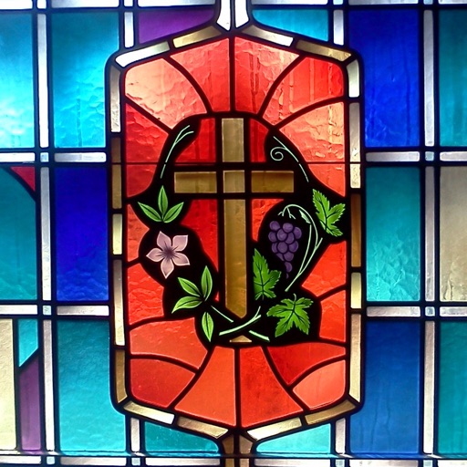 LeSueur UMC icon