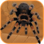 Top 40 Entertainment Apps Like Spider Scare Prank - Magic Spider - Best Alternatives