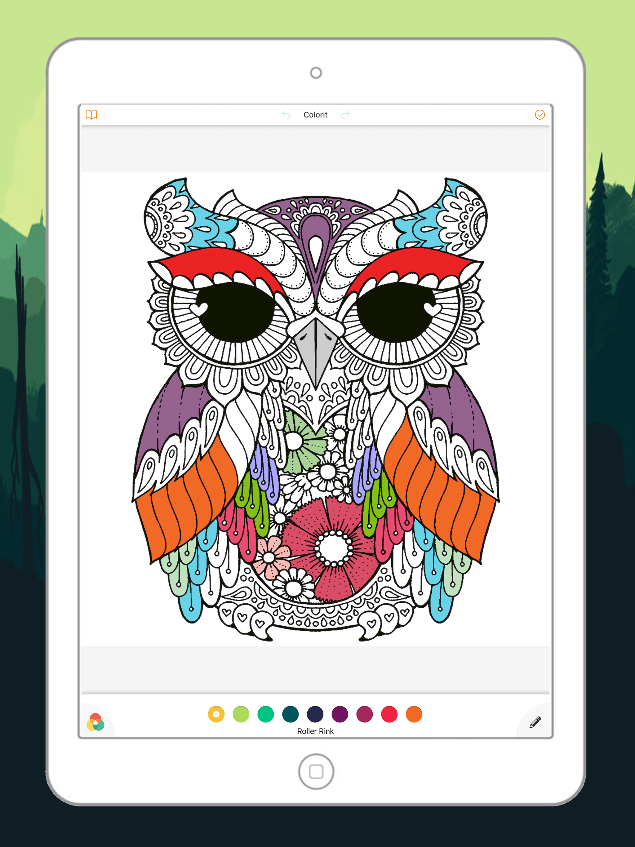 Cute Owl Coloring Drawing Pages for Kid screenshot 6
