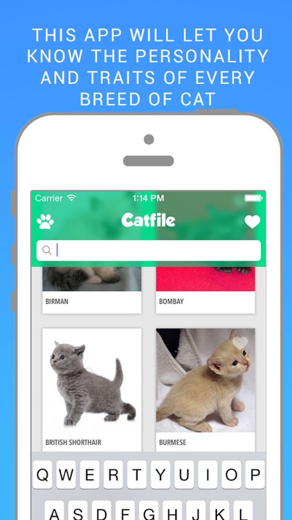 Cat File: The complete guide of cats breeds screenshot-3