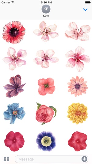 Flowers Galore Vol 3(圖1)-速報App