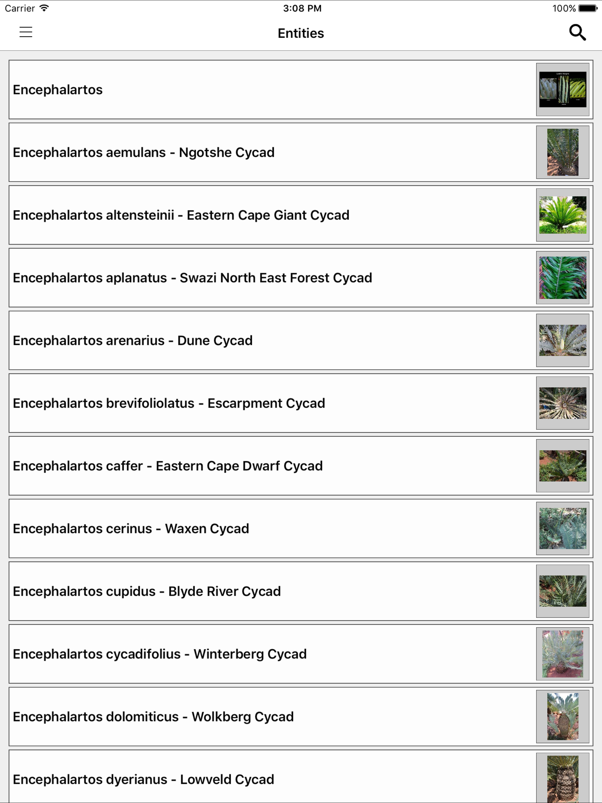 IDentifyIt Cycads screenshot 7