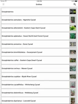 IDentifyIt Cycads screenshot 7