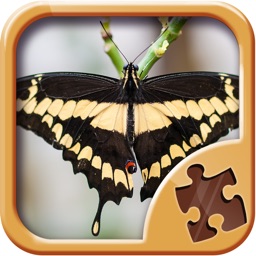 Papillon Jeu De Puzzle - Jeux De Logique