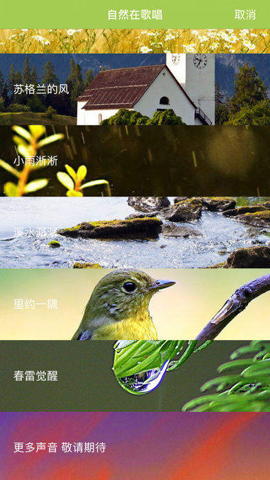 自然在歌唱——自然界的声音和轻松的白噪音让你放轻松睡得更好 screenshot