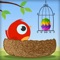 Enter the colorful adventure game with Cute Bird