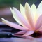 MeditateMe® is brought to you by the National Bestselling Author, Kelly Howell