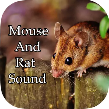 Mouse and Rat Sounds Читы