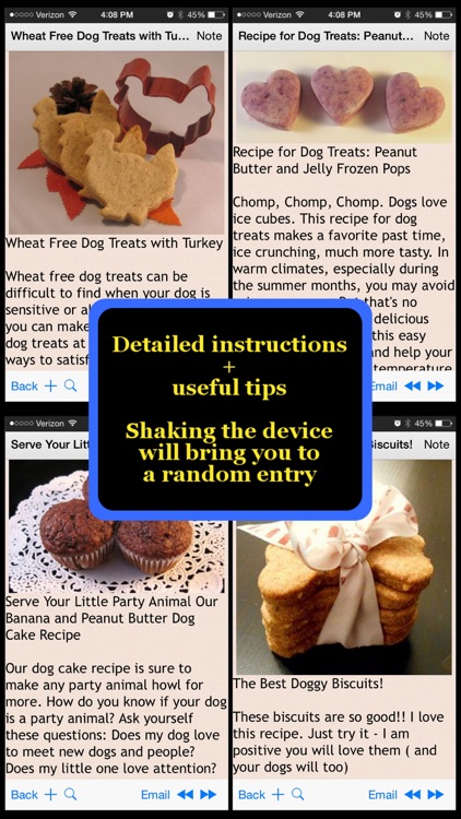 Homemade Pets Recipes