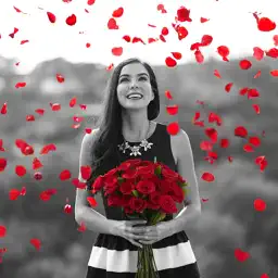 Blur Background & Color Splash Pic Filter Editor app icon