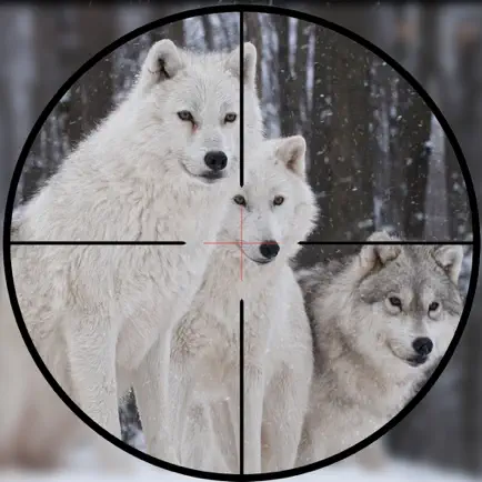 Wild Wolf Hunter 2017 Cheats