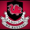 University of South Carolina Army ROTC