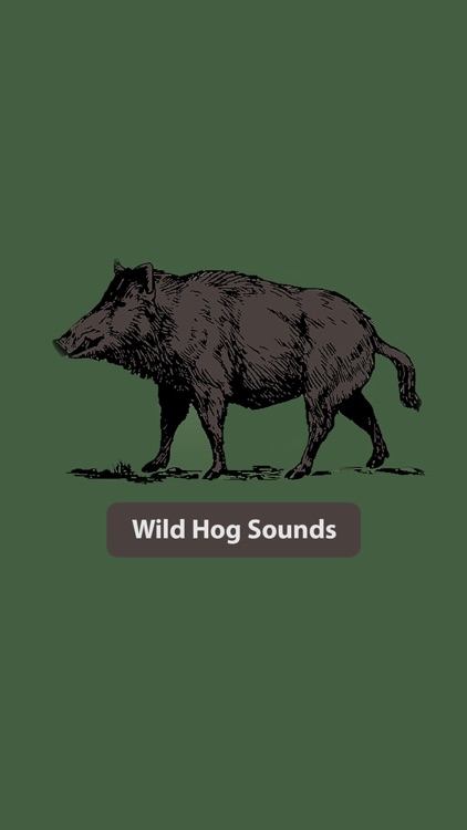 Wild Hog Sounds
