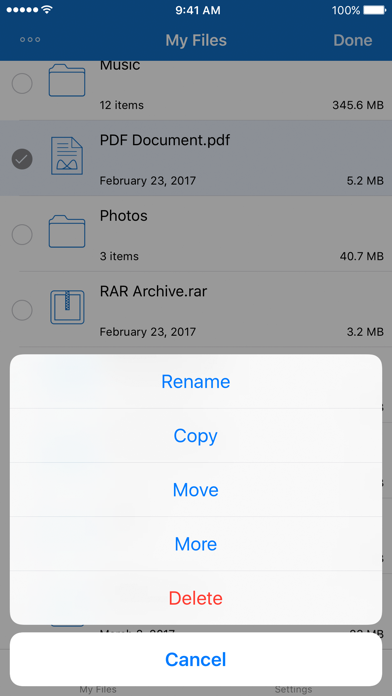 Screenshot #2 pour File Manager for iPhone