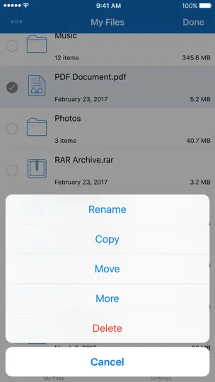 File Manager For IPhone iPhone Ekran Görüntüsü 2