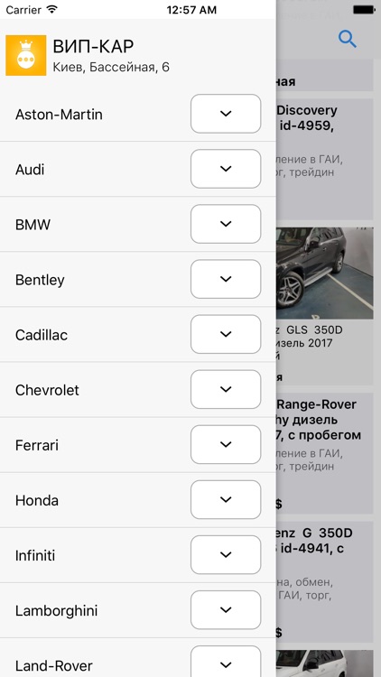 Вип-Кар Украина screenshot-3