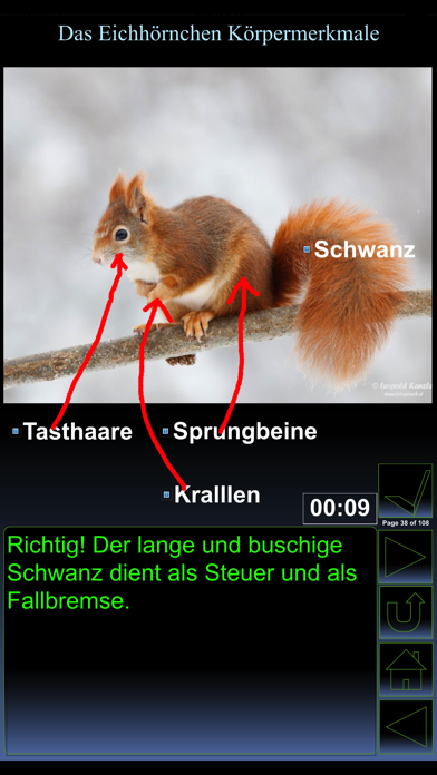 iWildlife Wildlife Screenshot