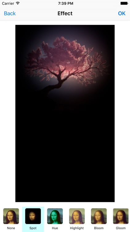 Picture Perfect - Photo Editor