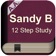 Sandy B - 12 Step Study - Saturday Morning Live app icon - Lifestyle app for iPhone