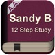 Sandy B - 12 Step Study - Saturday Morning Live app icon - Lifestyle app for iPhone
