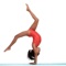 This collection of 173 Tuitional and informative videos is a must for any budding gymnast