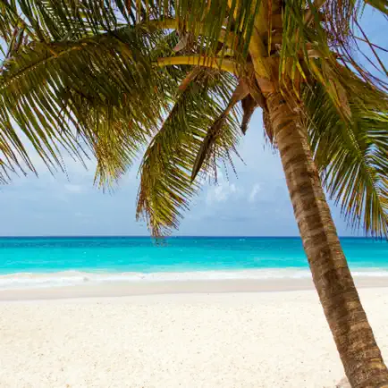 Beach Wallpaper Cheats