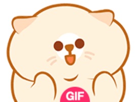 16 animated GIF emoji stickers of a cute fat cat