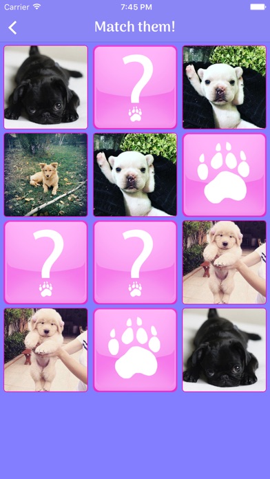 Dogs Memory - Cute Dogs Memory Match Game 1.1.1 IOS -