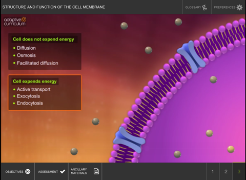 Cell Membrane screenshot 4