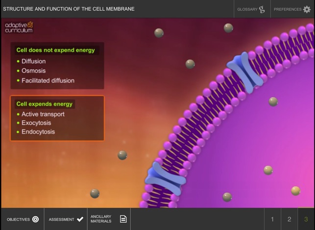 Cell Membrane(圖4)-速報App