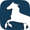 HorseManager