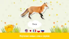 Game screenshot Первые слова - дикая природа mod apk
