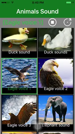 Game screenshot Animals Sound - Animal Sound Effects Free hack