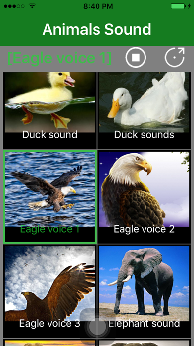 Screenshot #3 pour Animals Sound - Animal Sound Effects Free