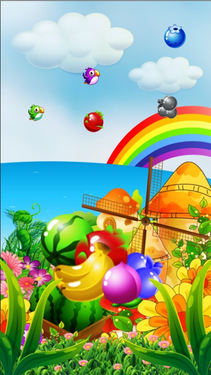 Sweet Fruits & Birds