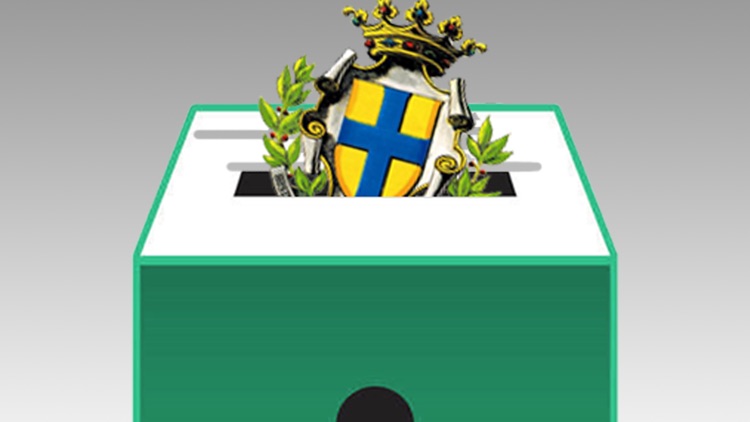 Elezioni Parma screenshot-3