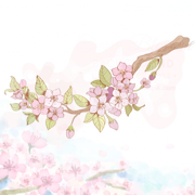 花著色為孩子 - 書畫素描