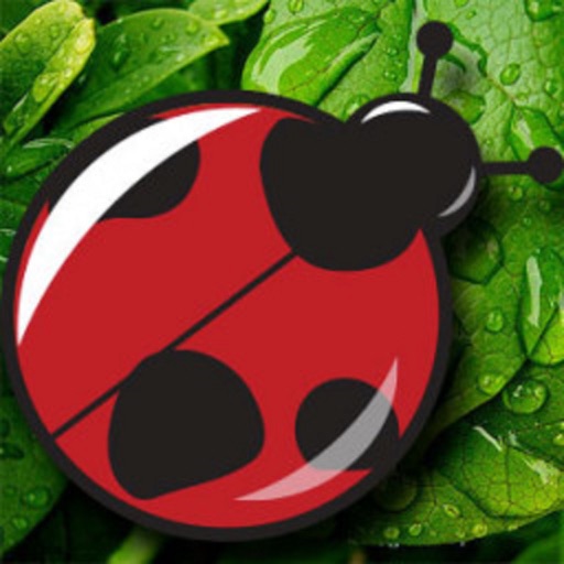 LADYBUG HV icon