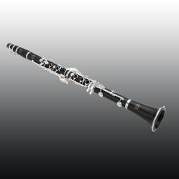 Learn To Play The Clarinet