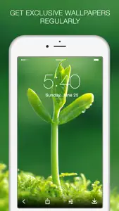 Green Wallpapers & Green Backgrounds screenshot #3 for iPhone