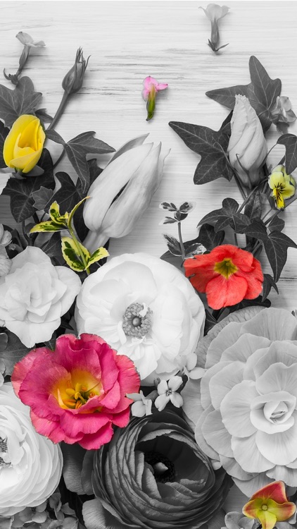 Color effects photo editing – black and white